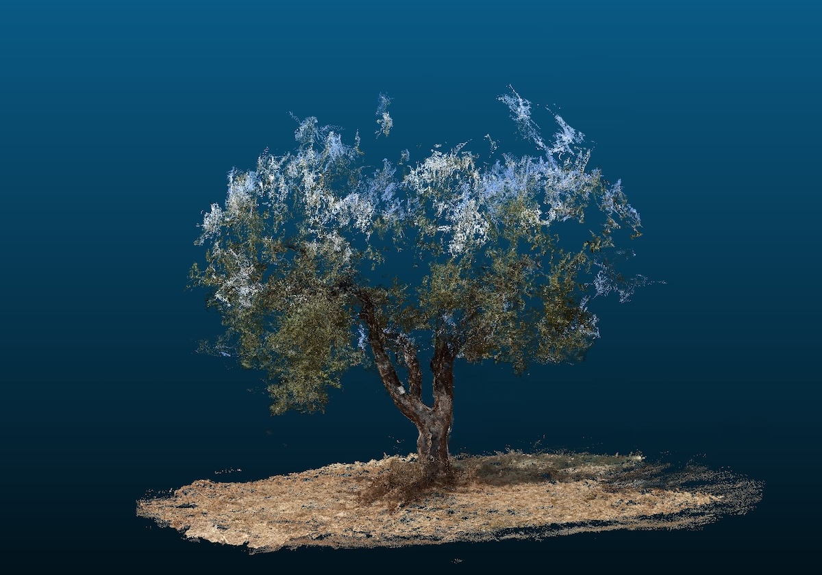 Nel contesto della transizione digitale e dell'adozione di tecnologie 4.0 nel settore agricolo, la filiera olivicola meridionale può trarre notevoli vantaggi da strumenti come iAgro